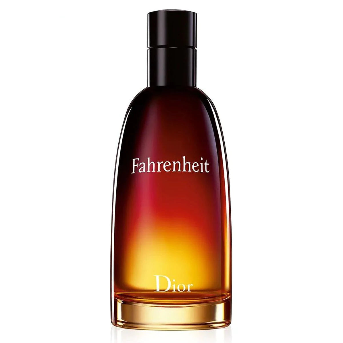 frasco Perfume Masculino Dior Fahrenheit Eau de Toilette frente fundo branco