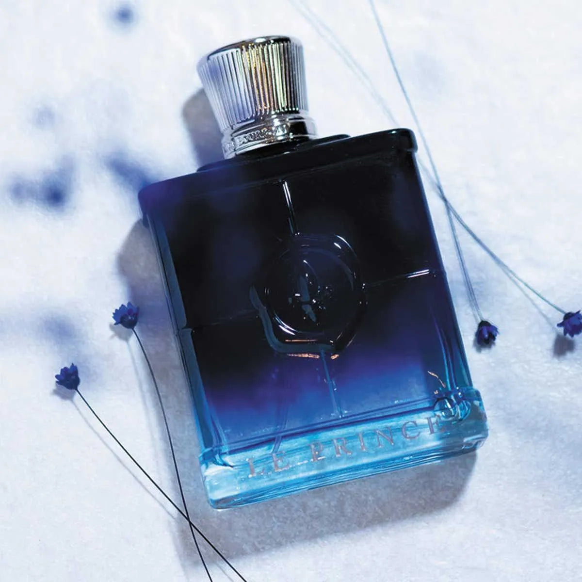 frasco Perfume Masculino Marina de Bourbon Le Prince Intense Eau de Parfum frasco amplo